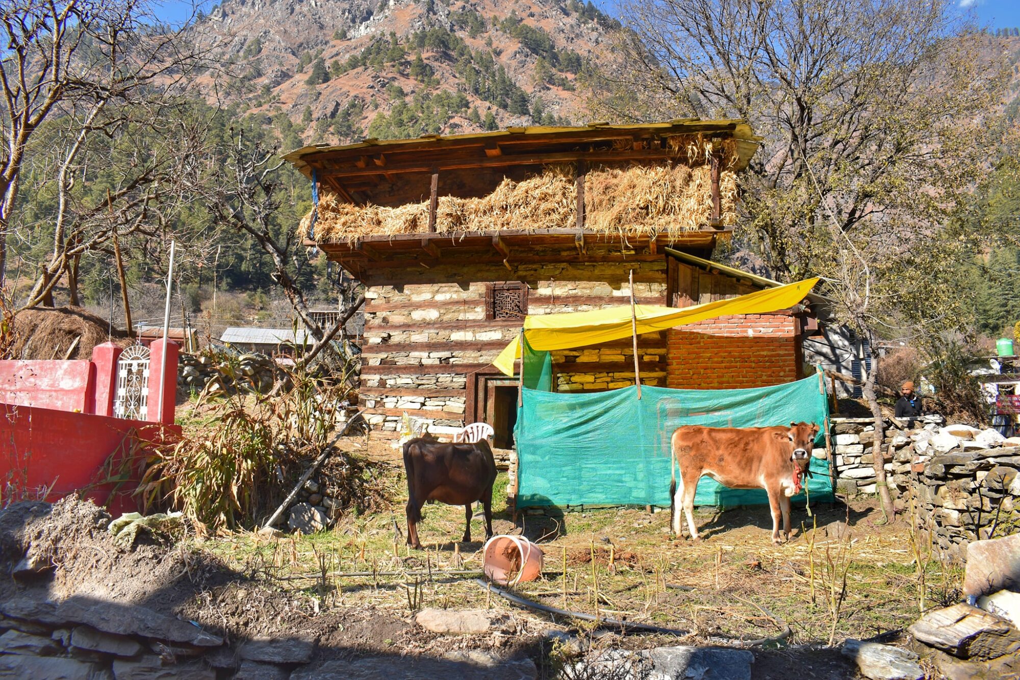 Kullu Manali Kasol Itinerary 6 Nights 7 Days