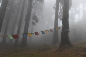 Read more about the article 5 Nights 6 days Darjeeling & Kalimpong trip
